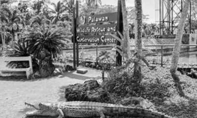 Philippinen - City Tourism Office - Triple Treat Tour: Underground River, Honda Bay Island Hopping & City Gems! - 3