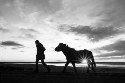 Welt - Reykjavík - Travel Greenland and see Icebergs and Northern Lights - Photography Trip!