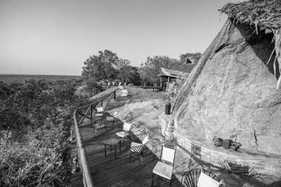 Tanzania - Tarangire National Park - Tanzania Wilderness – Unique Experience – ALL INCLUSIVE - 3