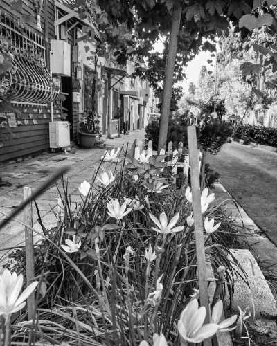 Turkey - Anatolian Side - CoWorking in the City of Two Continents, Istanbul, Turkey - 5