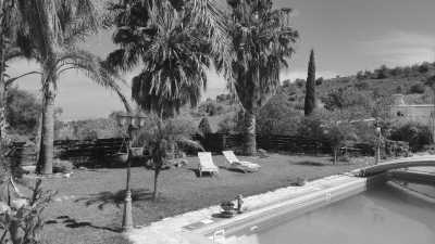 Cyprus - Larnaca International Airport - Explore Cyprus with an insider: Tours, Beach, Wellness and a taste of Movida! - 3