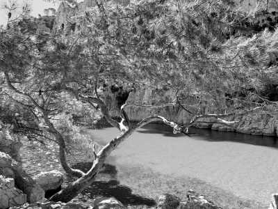 Europa - Marseille - ONLY GIRLS VANILFE TRIP in SOUTH of FRANCE: Visiting Cities, Art, Culture, Exploring Landscapes & Wild Horses - 4