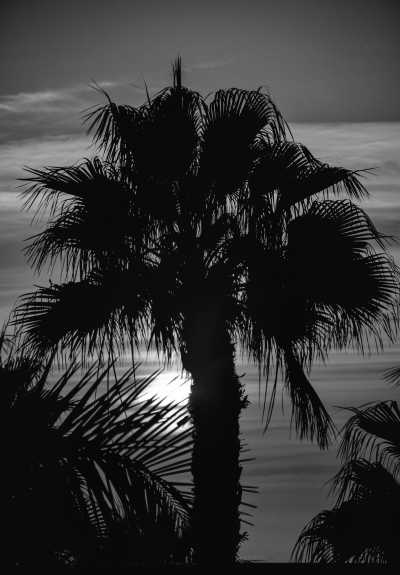 Spanien - Corralejo - 🏖️BEACH & 🍷WINE LOVERS: 🌋VOLCANIC FUERTEVENTURA IS WAITING FOR YOU! - 5