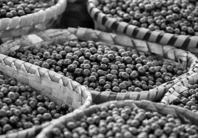 Brazil - Complex Ver-O-Peso - Unique Co-Working Experience in the Metropolis of the Amazon Rainforest! - 1