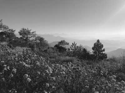 Nepal - Sundarijal - Discover Nepal's Rich Culture: Traditional Architecture, Local Cuisine, and Alcohol Tasting Experience - 2