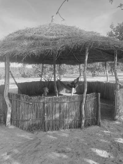 Gambia, The - Mr. B's adventure camp on paradise island - Abenteuerreise nach Paradise Island in Afrika - Gambia (Guided Trip) 😊 - 6