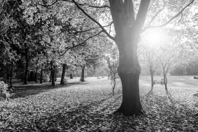 Hungary - Margaret Island - Danube Bicycle tour and discovering Budapest, Hungary 🚲🌉 - 4