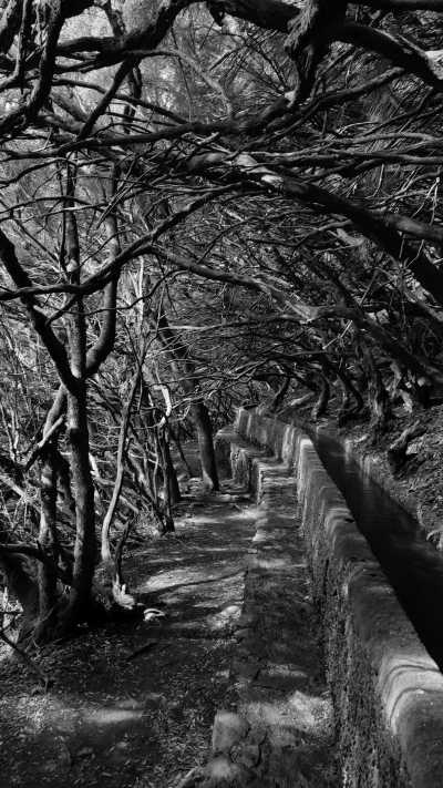 Portugal - 25 Fontes Falls - Experience local culture, hike & recharge in Madeira!