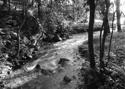 Nepal - Shivapuri Nagarjun National Park - Explore Nepal's Natural Beauty: Nagarjun Day Hiking Adventure