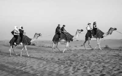 United Arab Emirates - Lahbab - Exploring the pure lifestyle in Dubai 🇦🇪 - 2