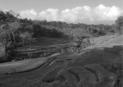 Indonesia - Breezy Bliss in Indonesia: Tawang Mangu's Serenity After Savoring Solo's Culinary Delights - JoinMyTrip