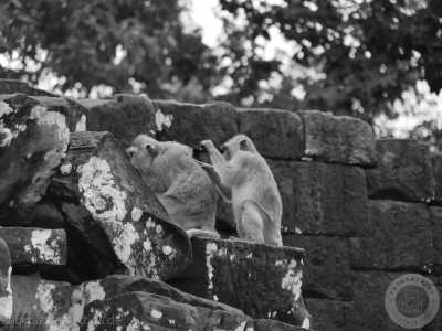 South-eastern Asia - Angkor Wat - 🇰🇭 Kambodscha - Budget Backpacking Trip durch Kambodscha incl. Angkor Wat 🏯 Pfefferplantagen 🌿 & Inselwelten 🌅 - 6