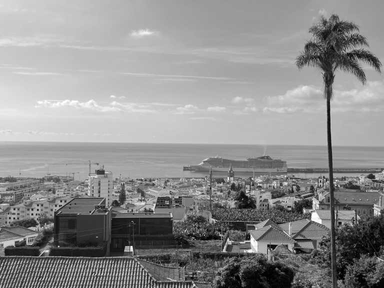 Portugal - Funchal - Explore Madeira -  Hikes, Surf & a lot More!