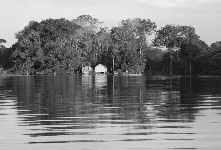 Brazil - Unique Co-Working Experience in the Metropolis of the Amazon Rainforest! - JoinMyTrip