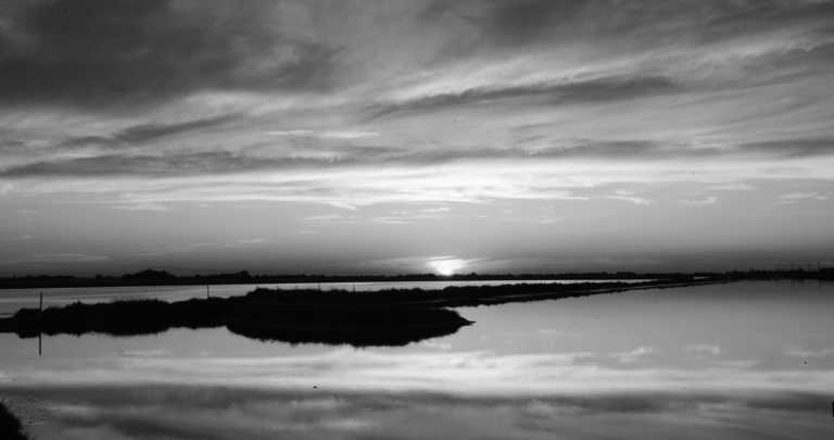 Southern Europe - Bellaria - Igea Marina - Romagna mia Cycling experience