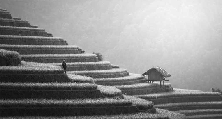 Indonesia - Bali - Home office in Bali with a pool villa (enjoy the culture, food, and sea)🐚⛵️ - 1