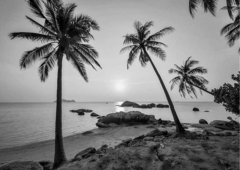 Thailand - Ko Pha Ngan - Thailand Experience: Island Paradise Samui to Koh Pha Ngnan with Eugene Cloete