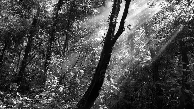 Costa Rica - Coworking or Volunteering from/in Costa Rica - JoinMyTrip