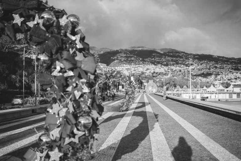 Portugal - Funchal - 💻Digital Nomad Co-Living & Adventure in Madeira 🌿🌅 Christmas lights, Yoga, Sunsets and more.. - 4