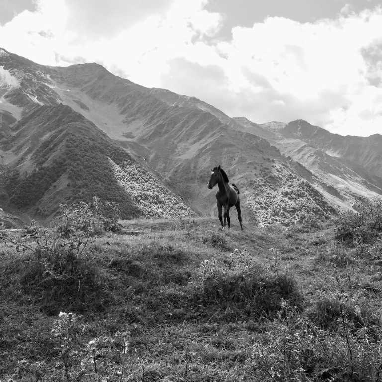 Georgien - Roadtrip durch Georgien / Imeretien - JoinMyTrip