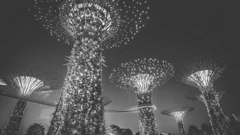 Singapore - Singapore like a local: Street Food, Tropical Islands and Crazy Nightlife! - JoinMyTrip