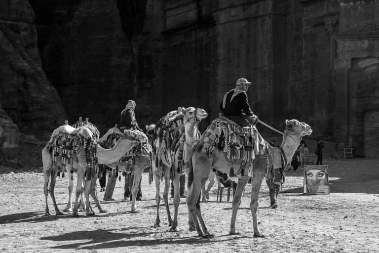 Jordanien - Wadi Rum - Jordan New Year‘s Adventure - Petra, Wadi Rum and more...