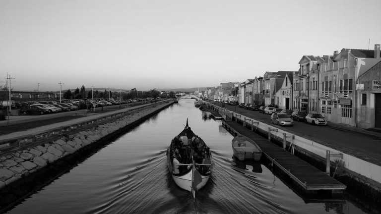 Portugal - Aveiro - Melodies and Flavours in Portugal: A cultural and Culinary Journey Through Porto, Aveiro&nbsp;and&nbsp;Coimbra - 2