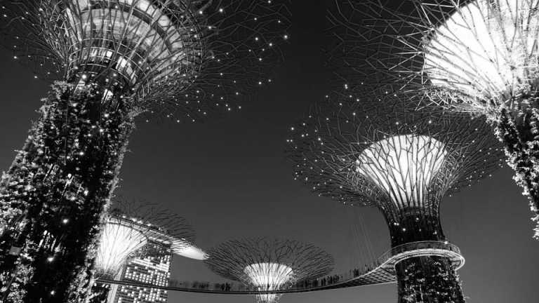Asia - Singapur - Asien Reise - Singapur-Phuket-Hongkong  - 3