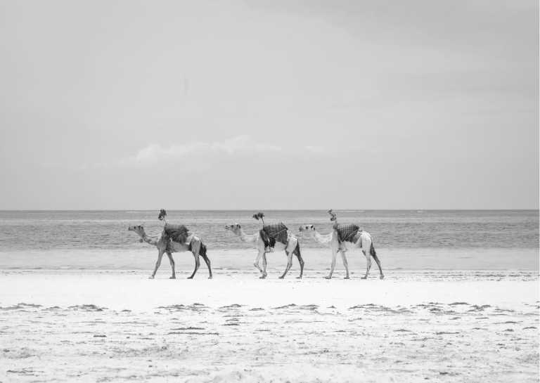 Kenya - Diani Beach Adventure: A Kenyan Co-Working Retreat - JoinMyTrip