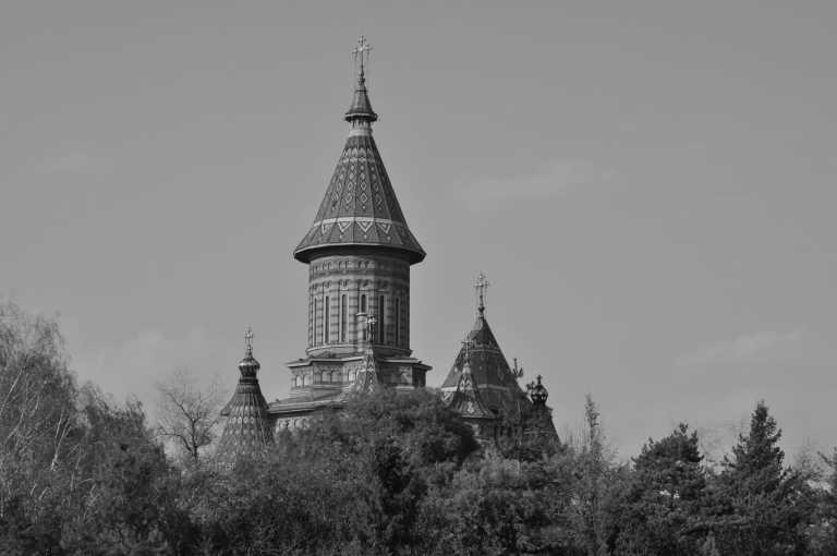 Romania - Timișoara - New Year's Eve & Wild Transylvania: Bisons, Castles & Winter Trekking 🇷🇴 - 2