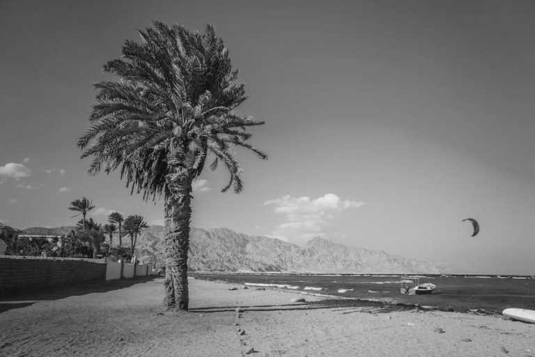 Ägypten - CoWorking and Wellbeing trip at Red Sea,  Dahab - art, yoga & skill sharing - JoinMyTrip