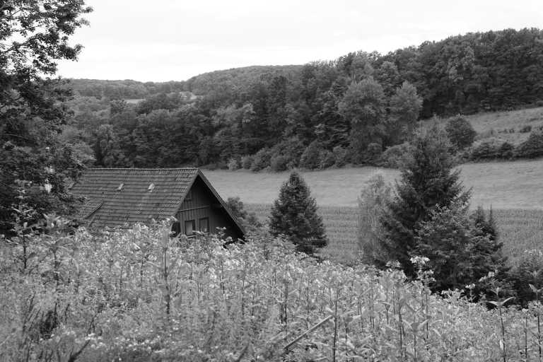 Germany - Von Workaholic zu Workation in Deutschland: Selbstständigkeit und Arbeit neu erleben in toller Gemeinschaft! - JoinMyTrip