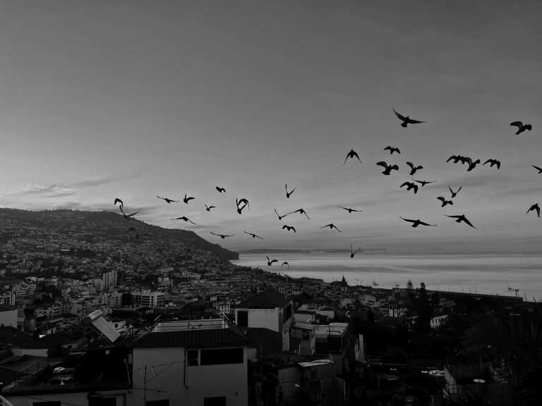 Portugal - Funchal City Center - Single Rooms Affordable Co-living in the Hub of Funchal with Guaranteed Adventure, Nature and Fun on the Dream Island of Madeira 🌴 - 2
