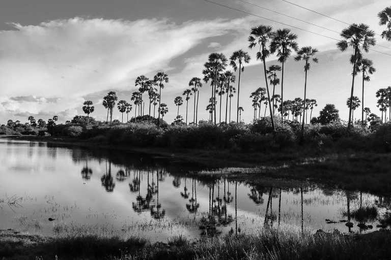 Sri Lanka - Exploring Sri Lanka - Jaffna Peninsula Tour - JoinMyTrip