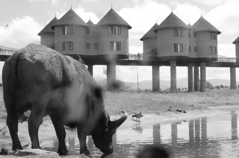 Kenya - SGR Terminus Nairobi - Enjoy a Short Safari on the footprints of Finch Hattons in Tsavo West National Park Kenya - 4