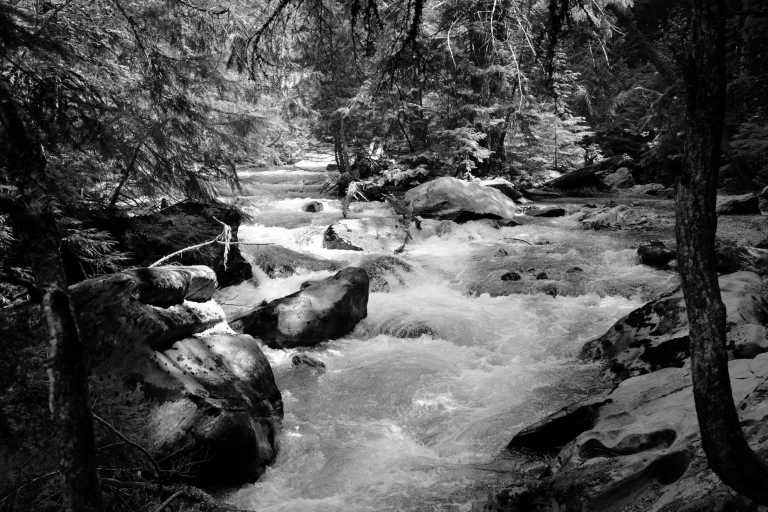 Philippines - Laiban - Discover the Beauty of South Luzon's Tropical Rainforests: Your Tropical Getaway Near Manila, Philippines