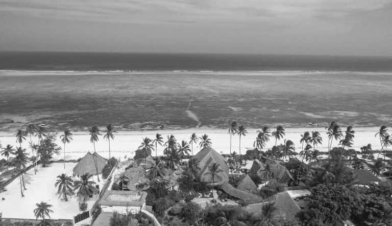 Tanzania - Tanga Escape: A journey through History, Nature 🌳 and the Beach 🌅🌆 .. - JoinMyTrip