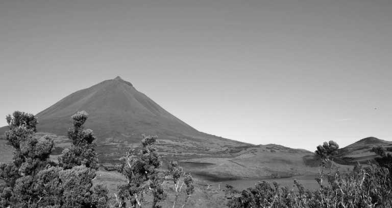 Portugal - Lajes do Pico - Azores - meet biggest whales & wild dolphins in their natural habitat  🐋