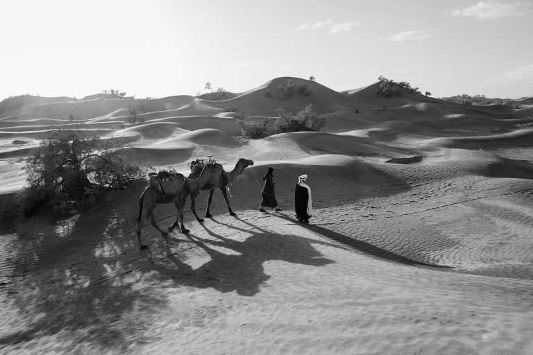 Morocco - 🐫 Explore the Sahara Desert, Morocco in 3 Days Trip - JoinMyTrip