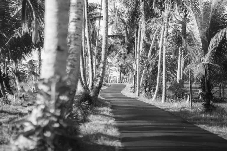 Indonesia - Ubud - 8 Days Female-Only Luxury Yoga & Life Coaching Live Your Best Life Retreat in Bali - 4
