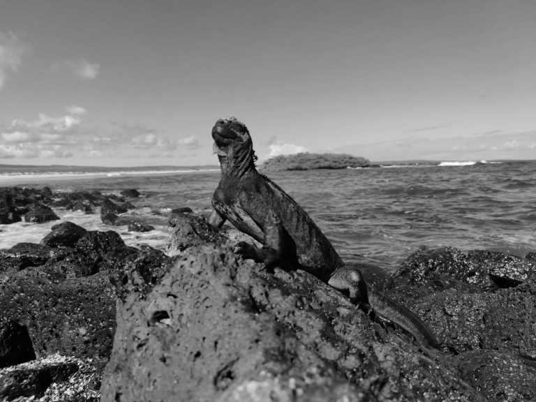 Ecuador - 5 Days Galapagos Adventure - JoinMyTrip