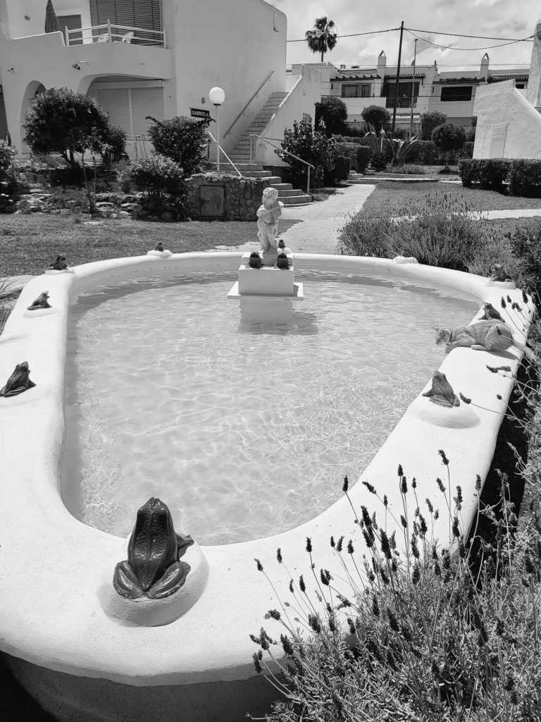 Spain - Ibiza - Urlaub auf Ibiza - in einem süßen Bungalow (EINZELZIMMER) direkt am Meer! - 4