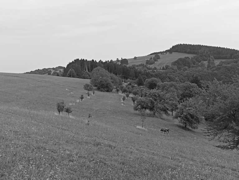 Eastern Europe - Žítková - Feel your heart beating and relax your mind; mountain hiking, horsback riding in Czechia, Slovakia and Poland - 2