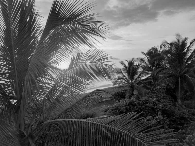 Costa Rica - Dominical Beach - Explore Costa Rica and the true meaning of "Pura Vida" with a local! (Guided Trip) ☀️ - 2