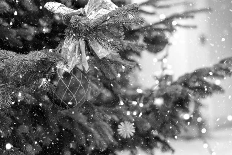 Österreich - Vienna Winter Trip 🇦🇹 Christmas Market, Traditional Food and Christmas Shopping - JoinMyTrip