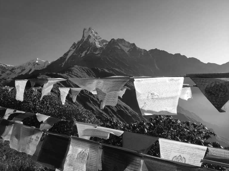 Nepal - Kathmandu - 🇳🇵 Nepal Motorrad Rundreise 🏍️ in 10d mit der Royal Enfield durch Nepal Motorrad Reise incl. Privatzimmer 🗻🚣🦏🌴 - 4