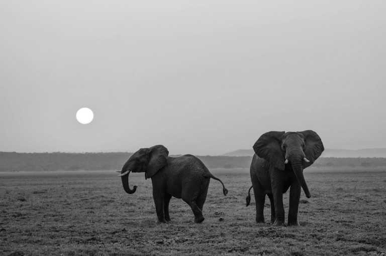 Subsahara-Afrika - Explore the beauty of Okavango Delta and Beyond - Botswana Adventure - JoinMyTrip