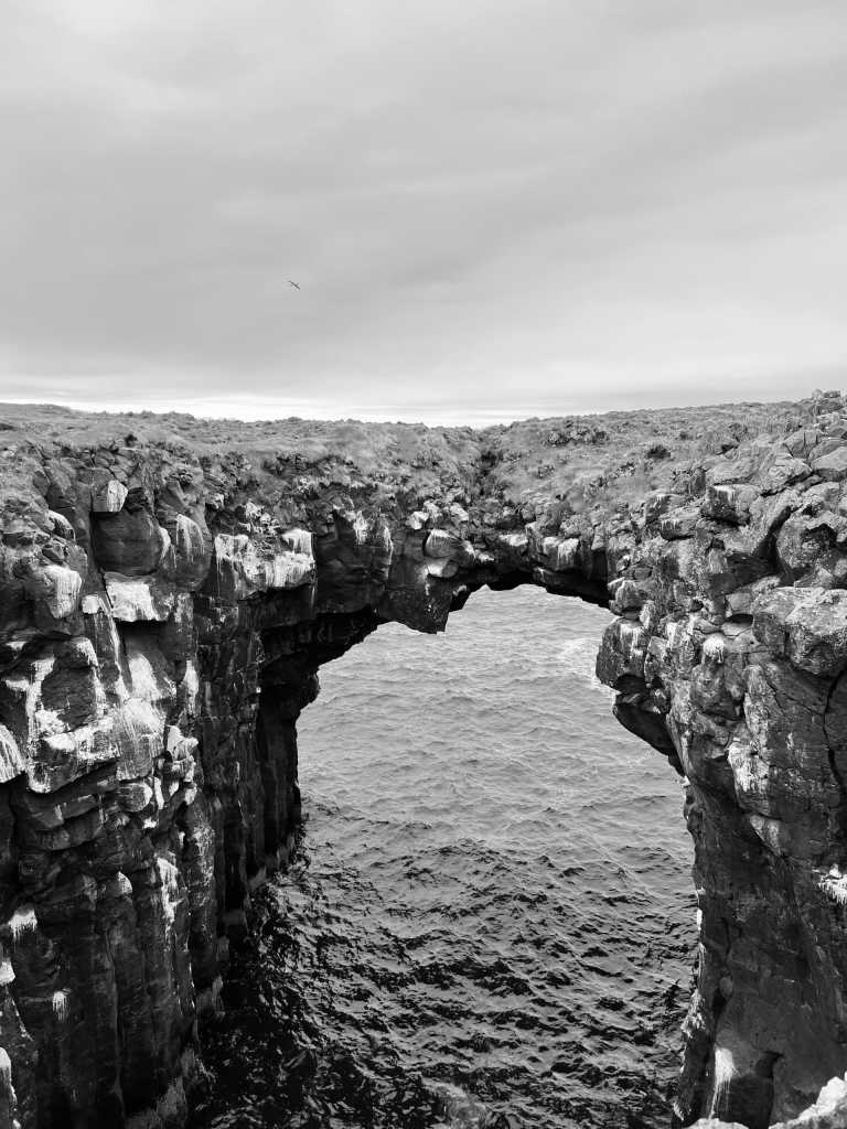 Iceland - Arnarstapi - 8 days Winter Fairytale in Iceland with Ice cave and Blue lagoon - 3