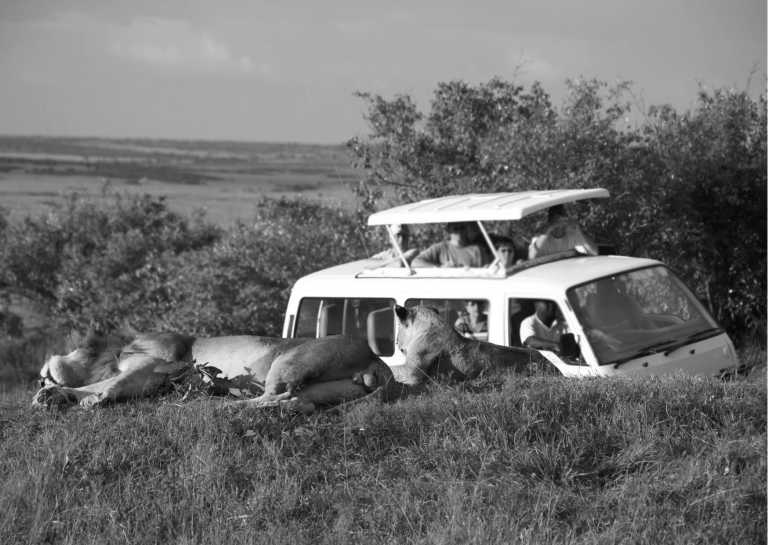 Kenia - 7 Days Safari in Nairobi, Kenya along Lake Elmenteita and Lake Nakuru to Maasai Mara - JoinMyTrip