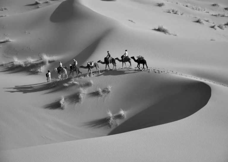 Morocco - Agadir - 8 Days Wellness Retreat in Agadir, Morocco - 4* Spa Hotel with Camel Trek & Berber Dinner - 2